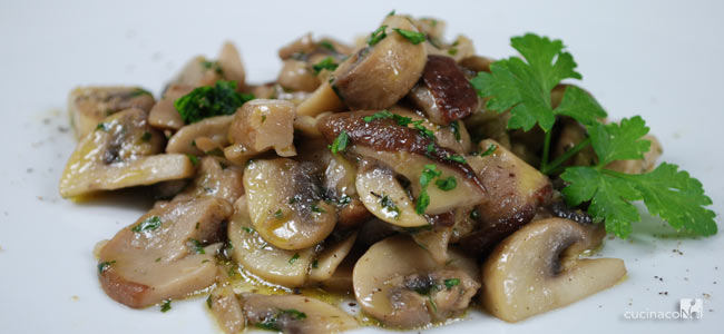 FUNGHI PRAT TRIF O. MADIA