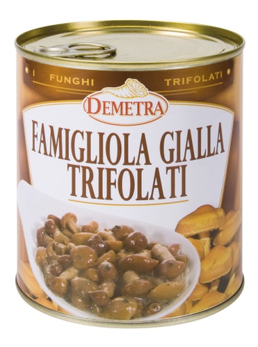 DEMETRA FUNGHI FAMIGLIOLA GIALLA TR