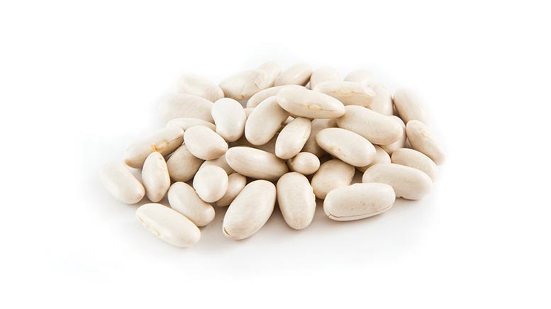 FAGIOLI CANNELLINI BIO PEDON