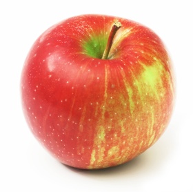 MELE MORGHEN X COTTO 80+ (210GR) FR