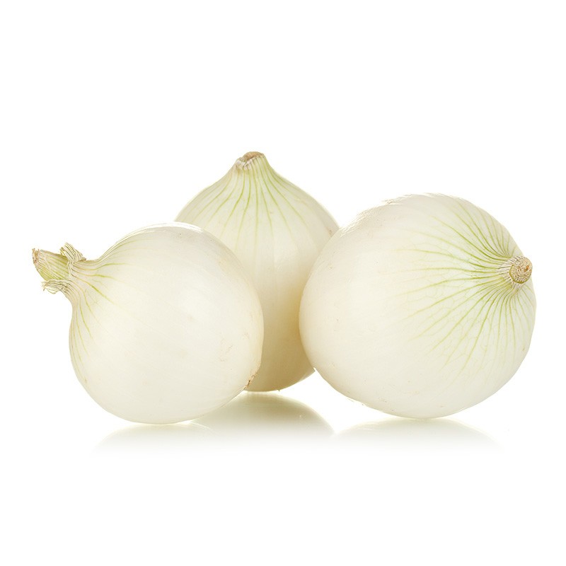 CIPOLLA BIANCA FR
