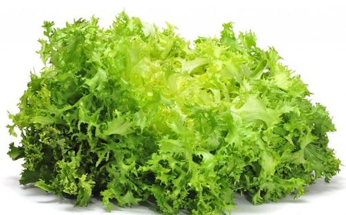 INSALATA INDIVIA RICCIA FR