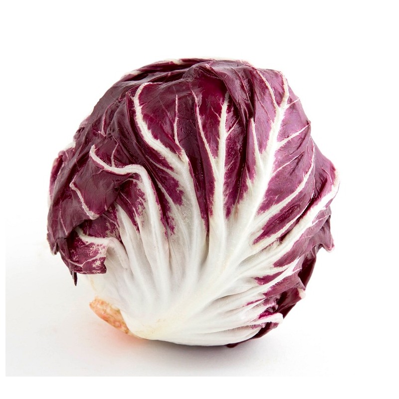 RADICCHIO BIO CHIOGGIA