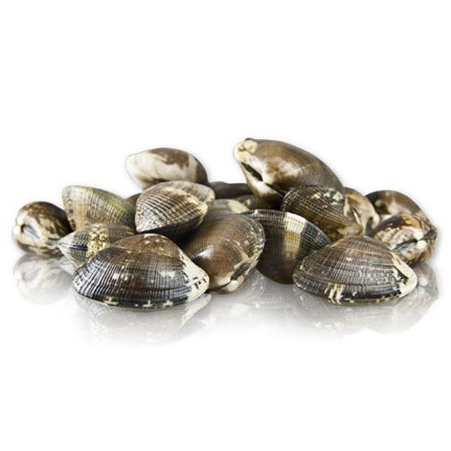 VONGOLE LUPINO (SVE)