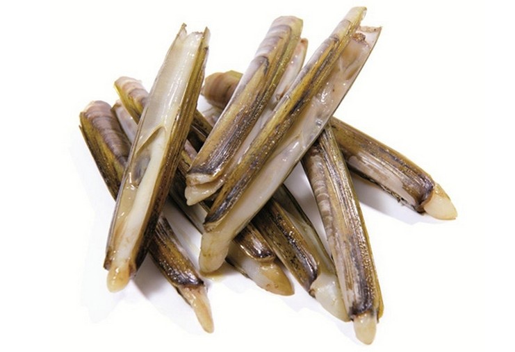 CAPELUNGHE OCEANICO (CLR)