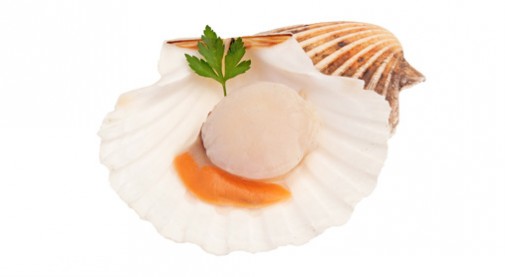 CAPPESANTE INTERE (SJA)