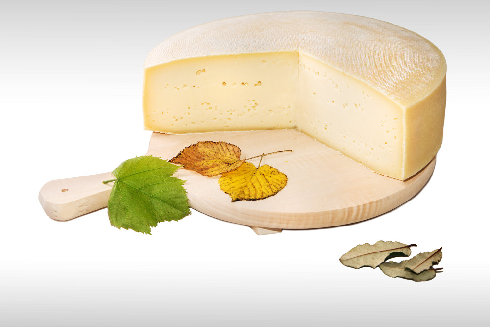 FORM LATTERIA FORMA OVARO