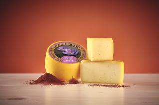 FORM LO ZAFFERANO P.PEC BUSTI