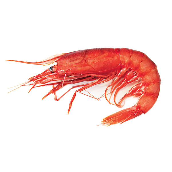 GAMBERO ROSSO SILVER MEDIT CB MEDI