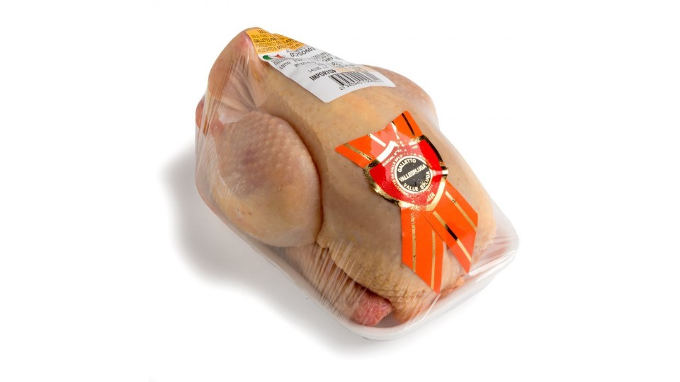 GALLETTO VALLESPLUGA SCUDETTO ROSSO