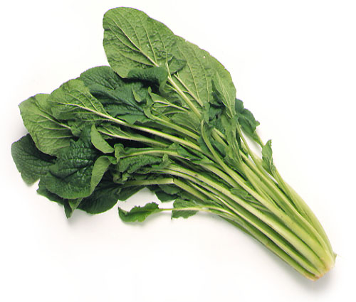 DE PALMA BORRAGINE