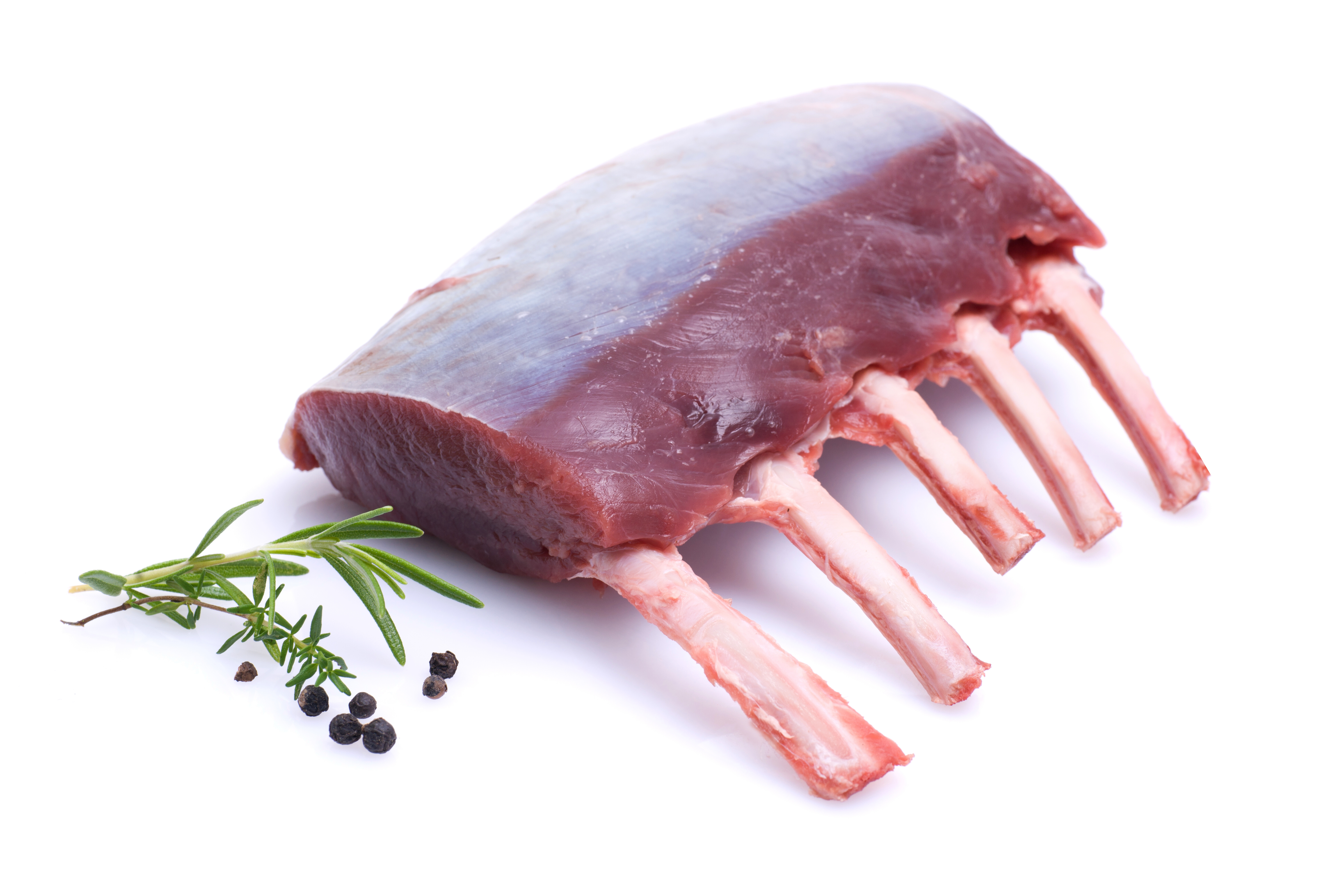 CERVO CARRE' F.RACKS CG