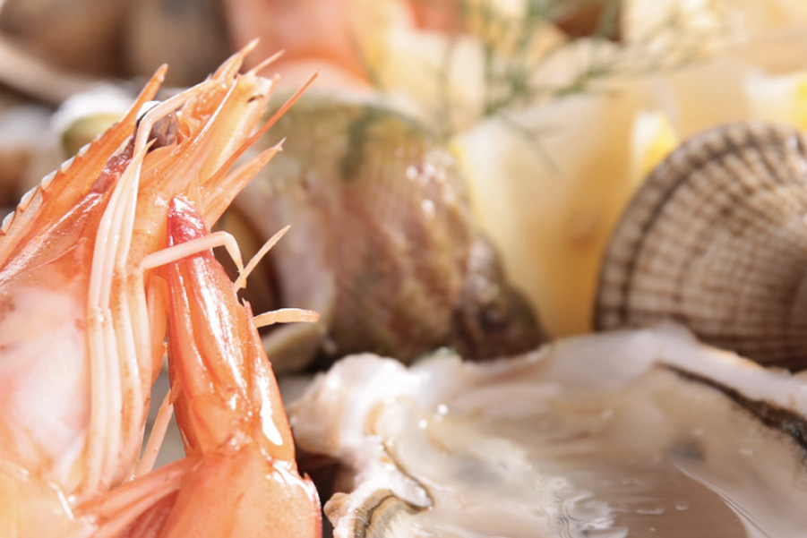 6 idee facili e veloci per portare l’ittico fresco nazionale sulla tavola!