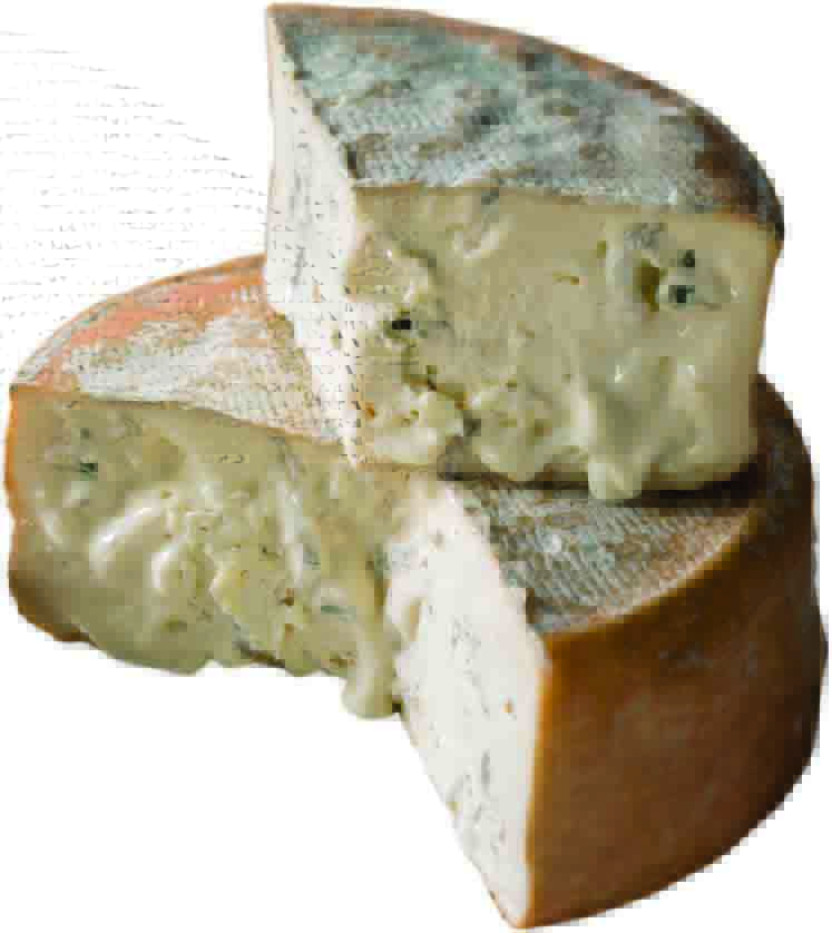 FORM PEC. BLU DEL GREGGE BUSTI