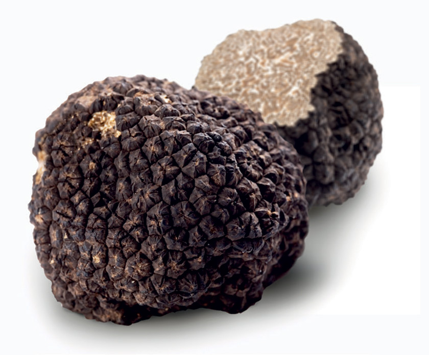 TARTUFO ESTIVO INTERO CG T&C
