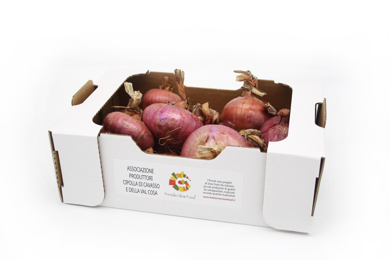 CIPOLLA ROSSA DI CAVASSO E VALCOSA