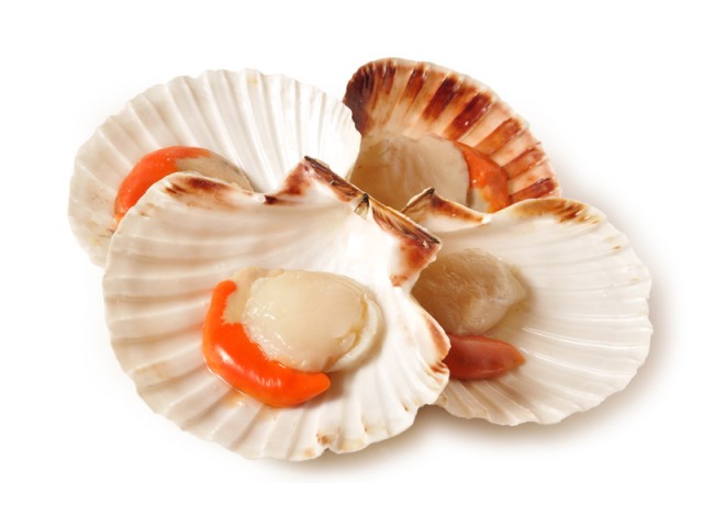 CANESTRELLI M/G 40-60