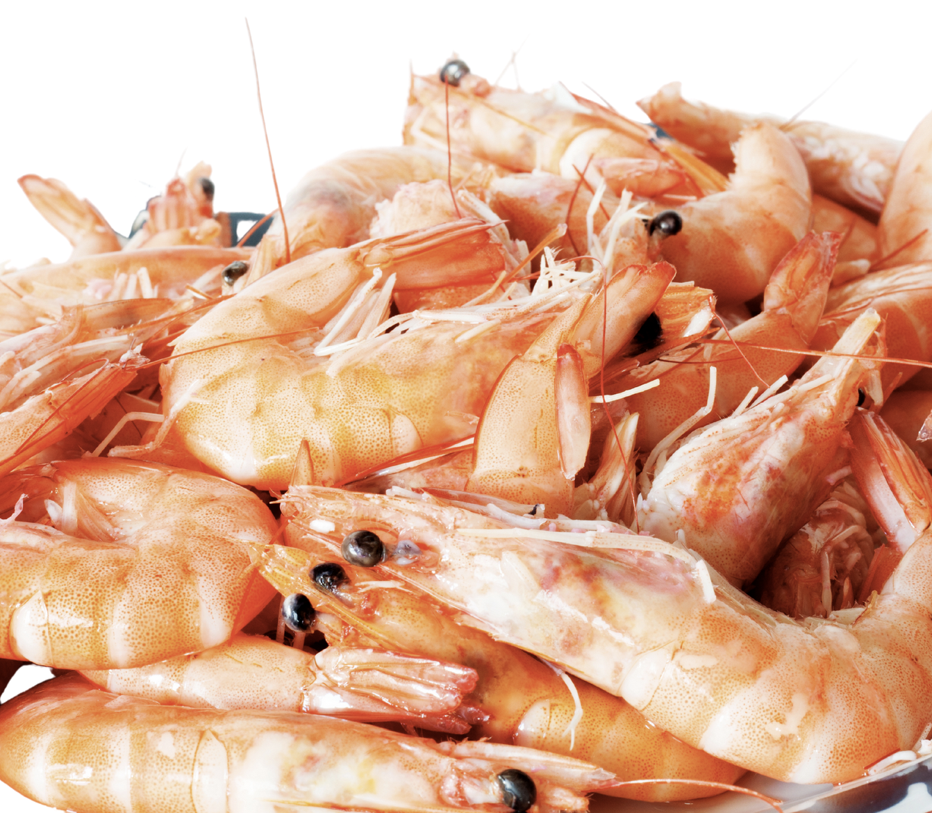 GAMBERETTI BOREALI CRUDI 160+IQF