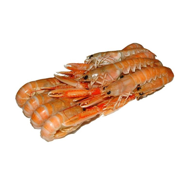 SCAMPI INTERI 31-40 LAESO