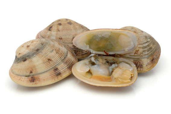 VONGOLE VERACE GROSSA (CLJ)