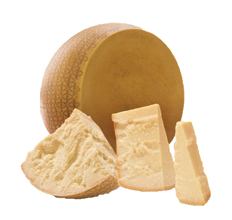 FORM GRANA PADANO FORMA DOP