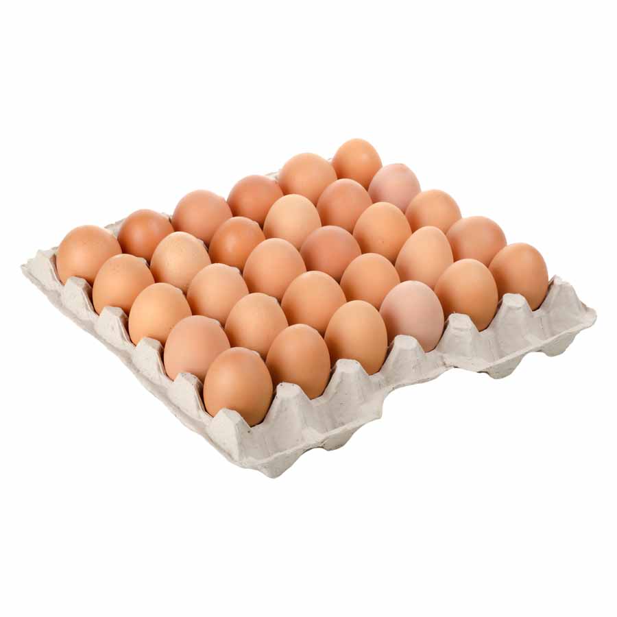 UOVA MEDIE SPECIALI EUROVO