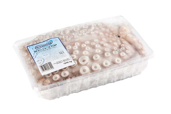 POLPO(2000-3000) PREMIUM