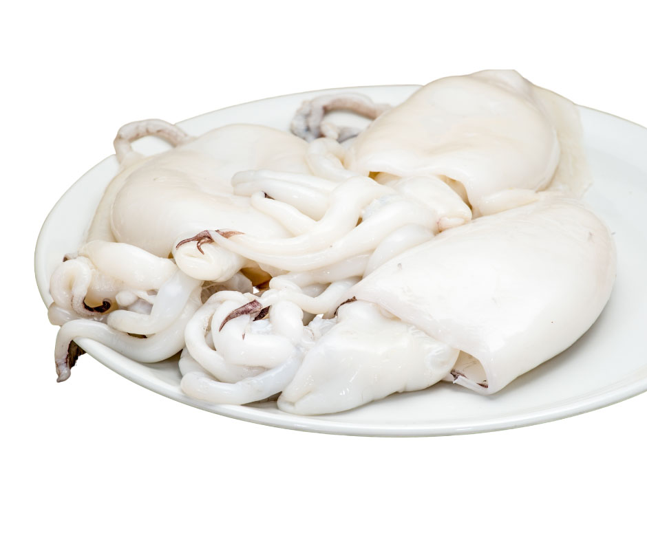 SEPPIA 300-500 (CTC)